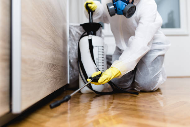 Best Pest Prevention Services  in Country Clu, FL